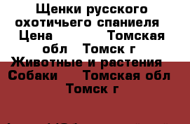 Щенки русского охотичьего спаниеля › Цена ­ 4 000 - Томская обл., Томск г. Животные и растения » Собаки   . Томская обл.,Томск г.